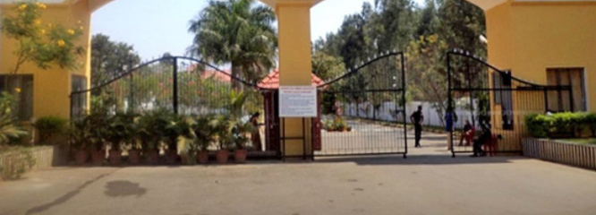 Images for mainOther