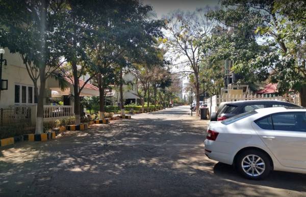 Images for mainOther