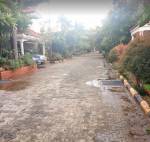 Images for mainOther