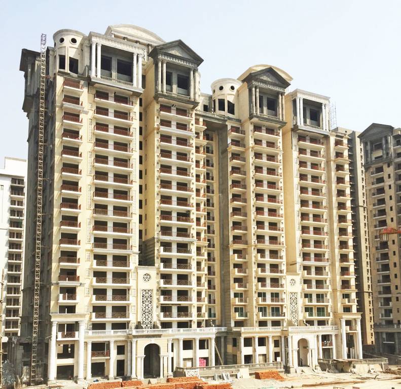 Images for mainOther