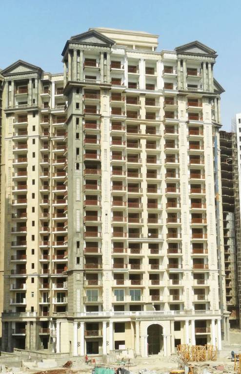 Images for mainOther