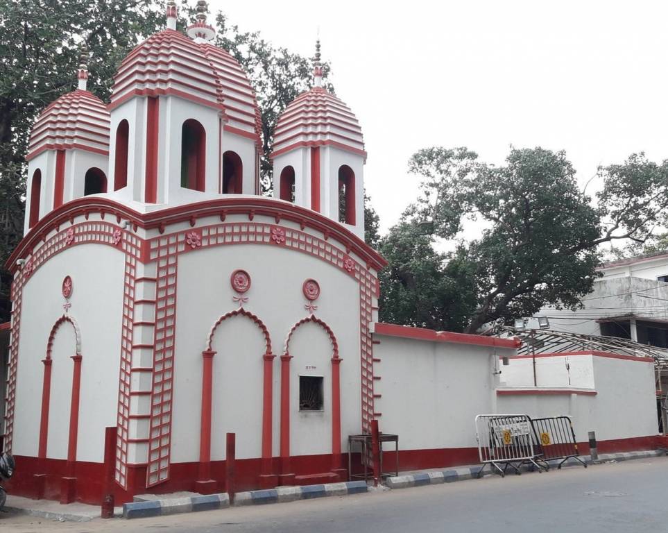 Images for mainOther