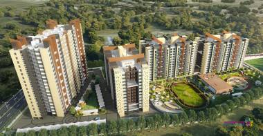 Elevation pride-platinum Elevation