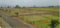 MD Town