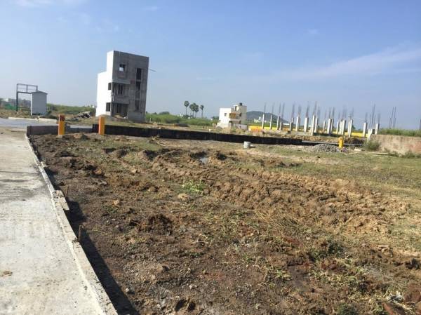 Images for mainOther