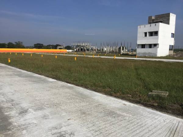 Images for mainOther