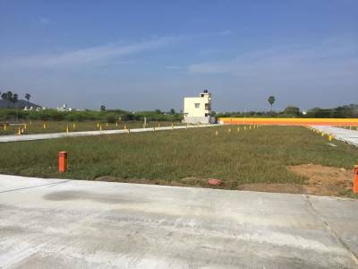 Images for mainOther