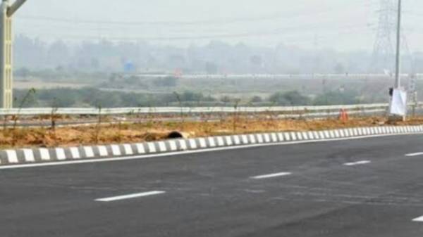 Images for mainOther