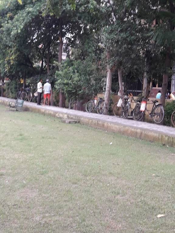 Images for mainOther