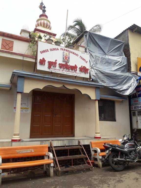 Images for mainOther