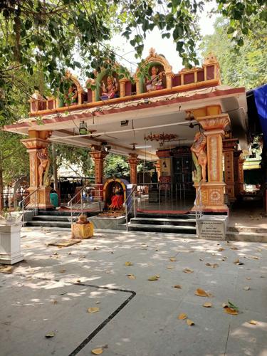  nischal-nirmay-tanmay Images for mainOther