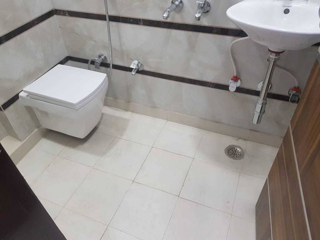 Images for mainOther