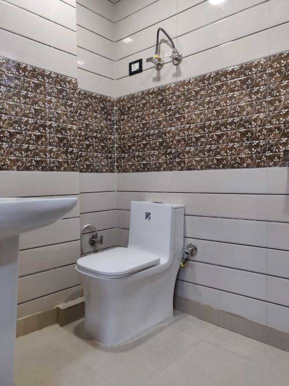 Images for mainOther