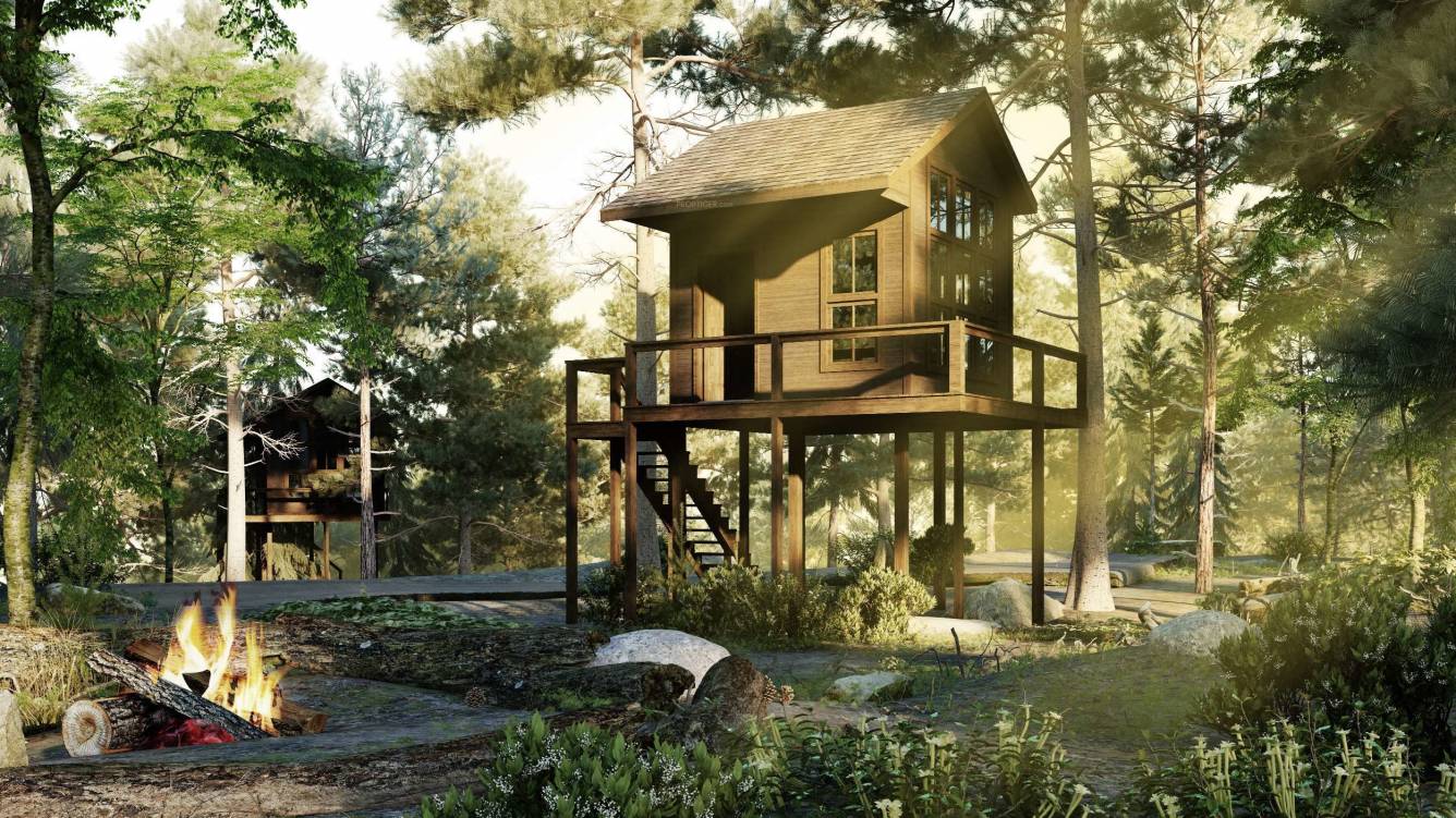  forreste Landscape Garden and Tree Planting