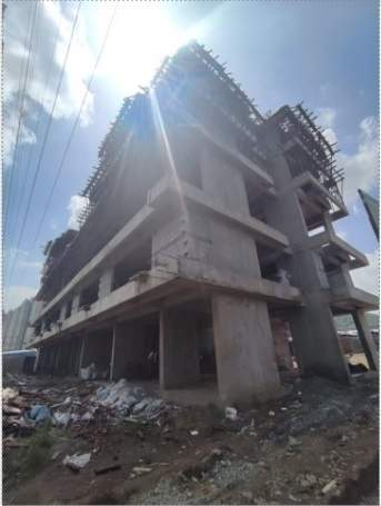  horizon exotica Elevation