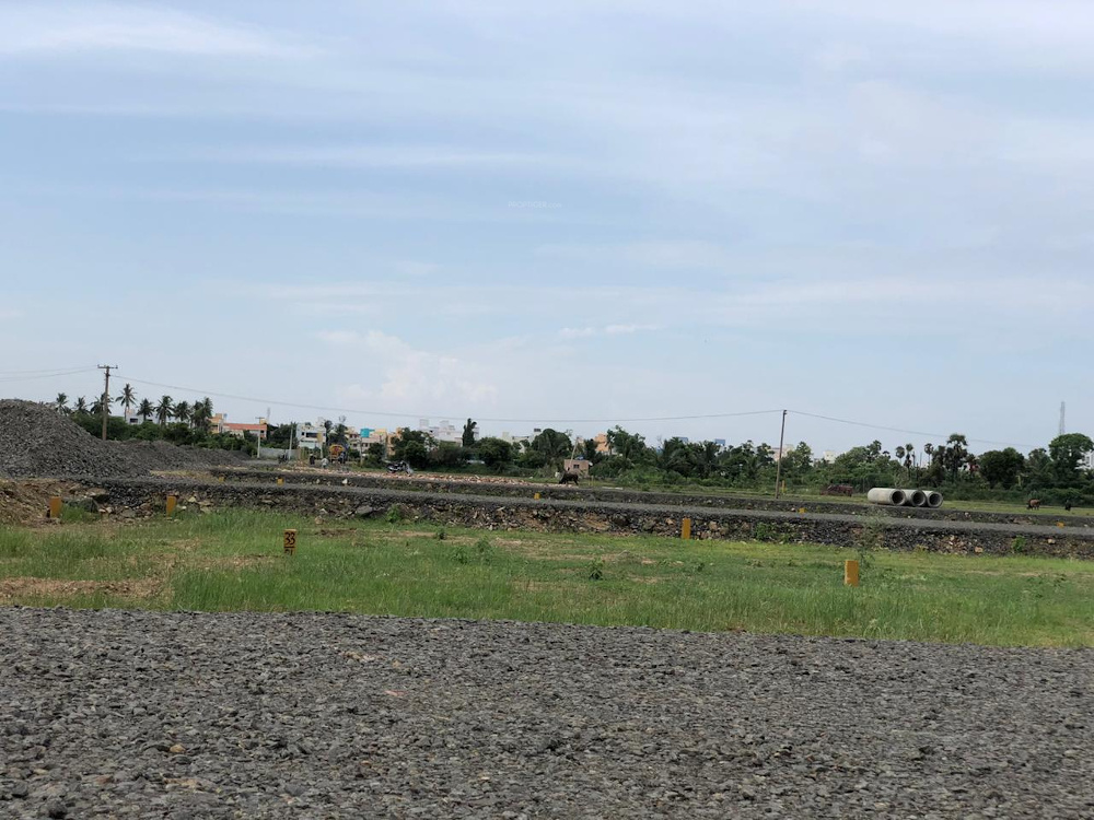  florence phase i Elevation