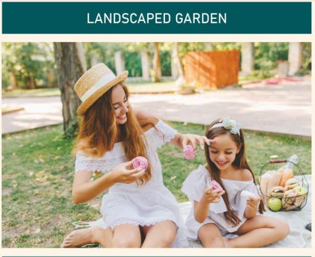  balaji park Landscape Garden and Tree Planting