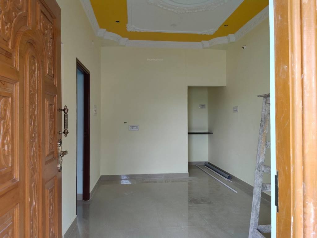 Images for mainOther