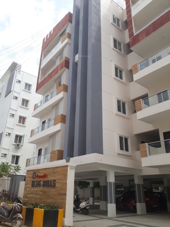  blue bells Elevation