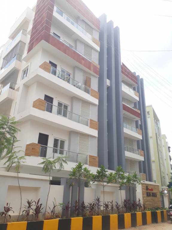  blue bells Elevation