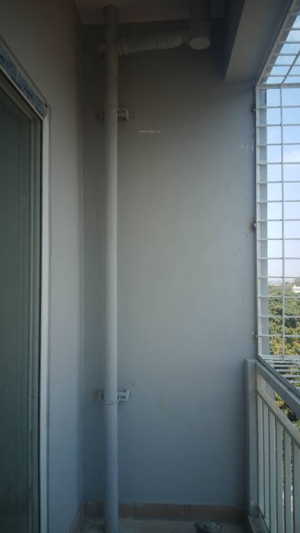 Images for mainOther