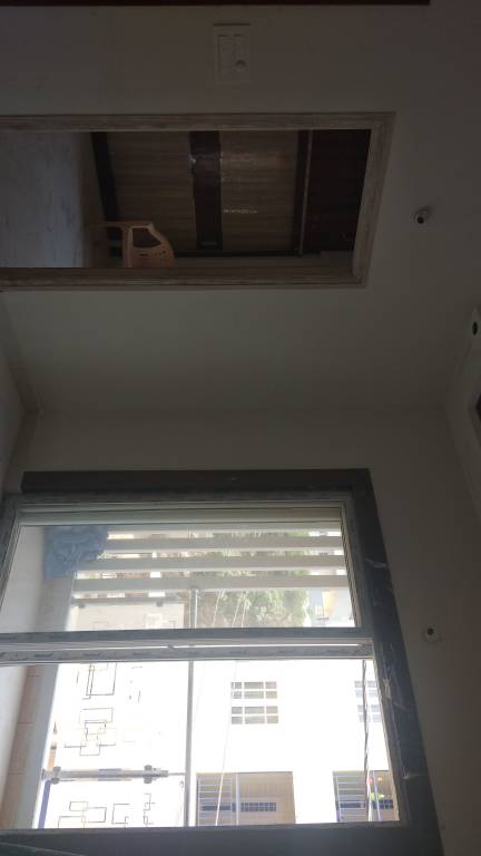 Images for mainOther