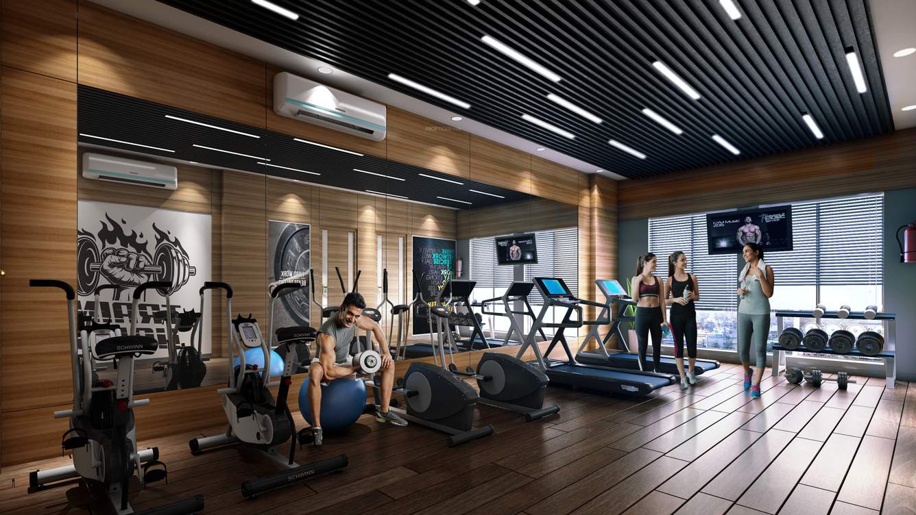  4 sight vivante Gymnasium