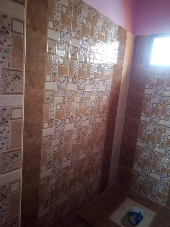 Images for mainOther