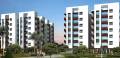 Om Shrim Developers Sai