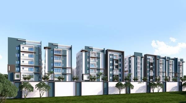  palm-grove Elevation