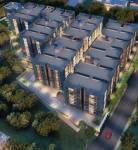  palm-grove Elevation