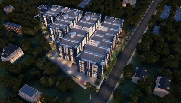  palm-grove Elevation