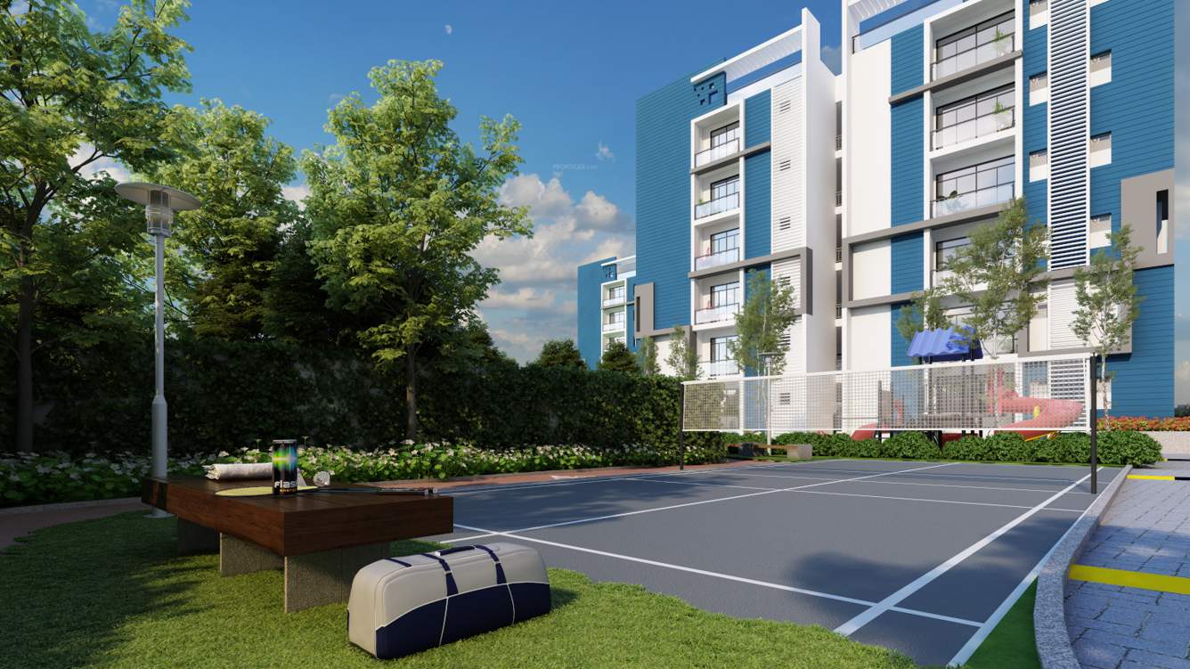  palm grove Badminton Court