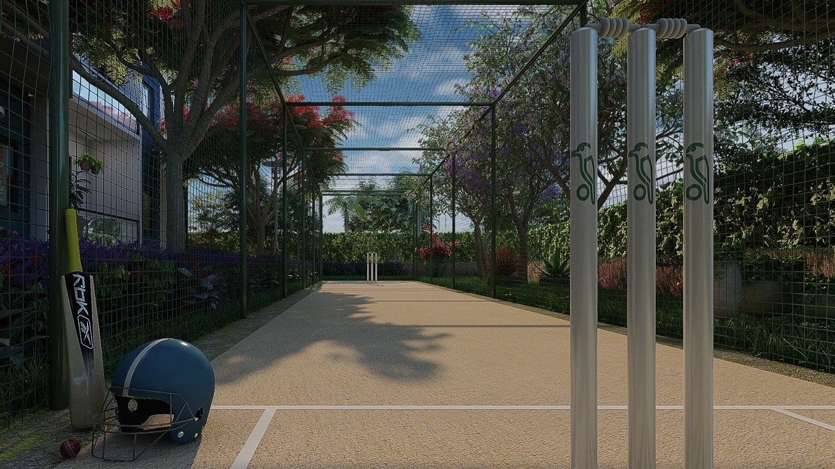  palm grove Cricket Pitch