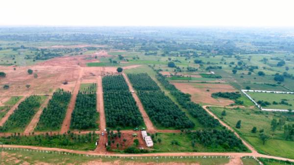  silver-city Images for Project