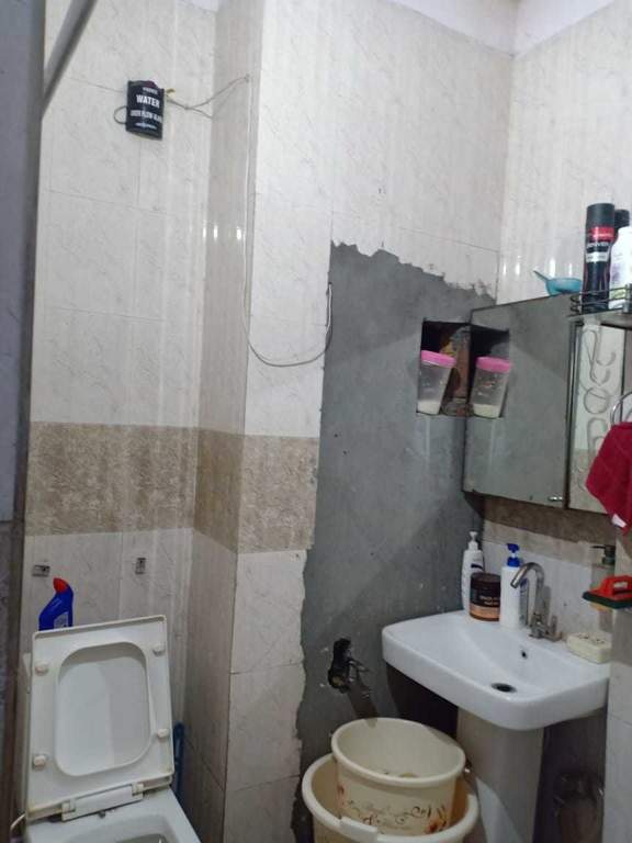 Images for mainOther