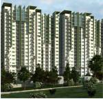  panorama-phase-2 Elevation