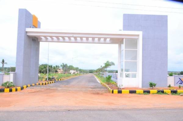  golden-ridge Images for Project