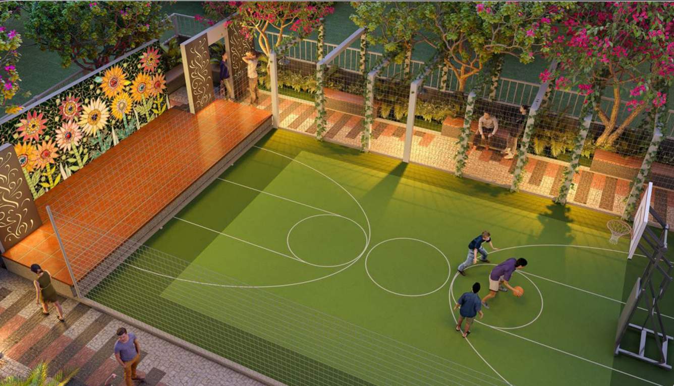  liva Basketball Court