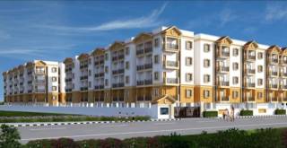 Project Image Project Image