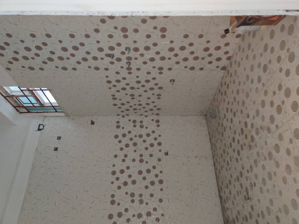 Images for mainOther