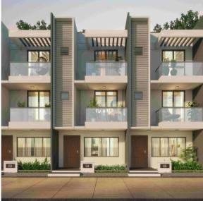 Elevation luxuria Elevation