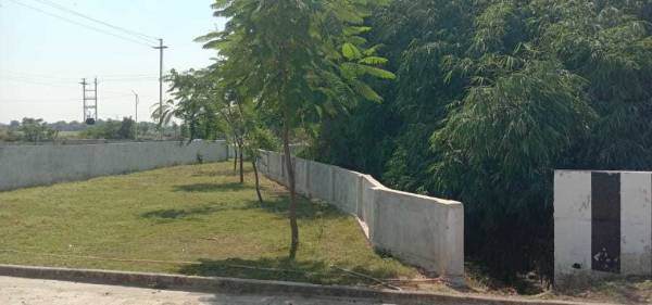 Others palms-phase-3 Others