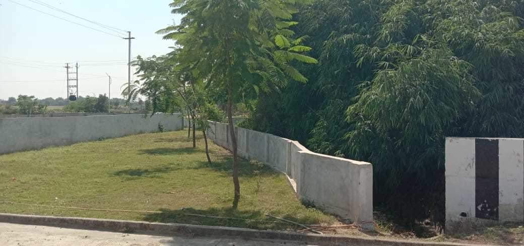  palms phase 3 Others