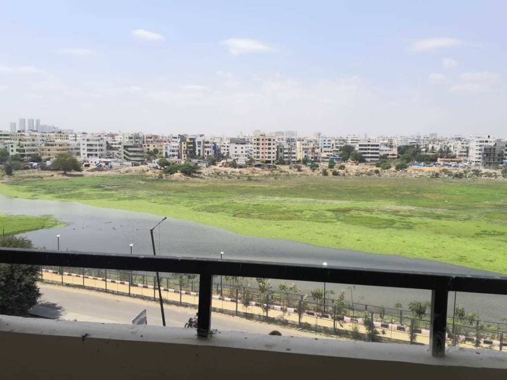 Images for mainOther