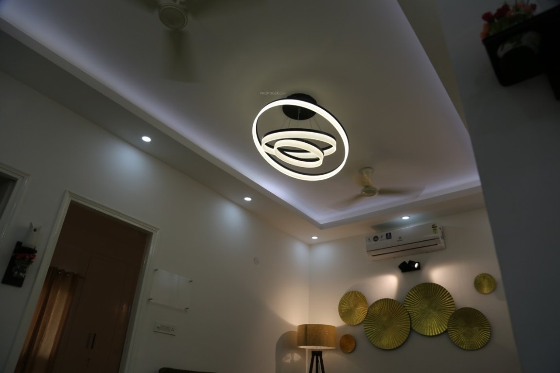 Images for mainOther