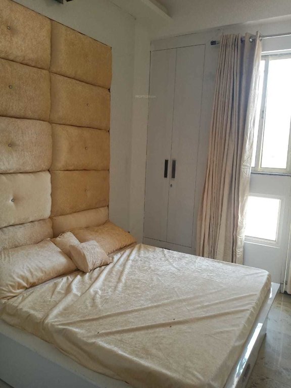 Images for mainOther