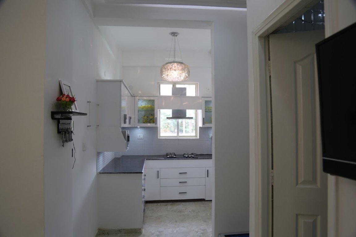 Images for mainOther