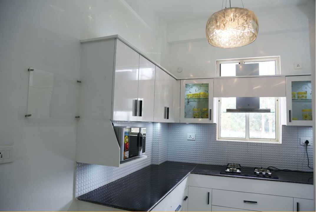 Images for mainOther