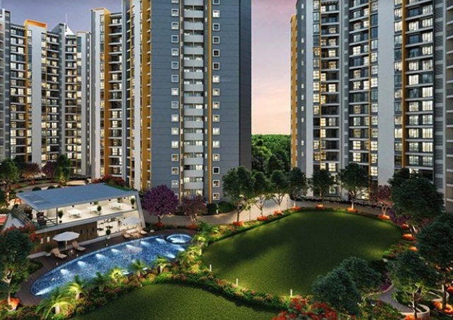  sensorium phase ii Elevation